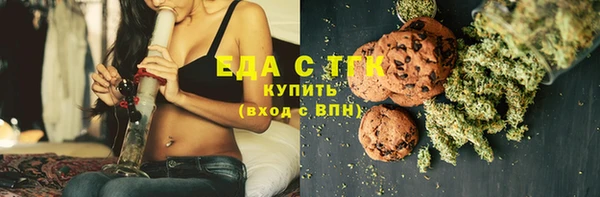 гашик Тосно