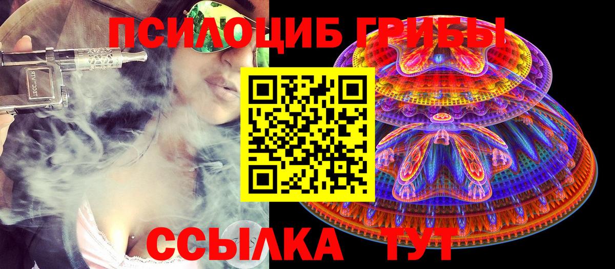 Тула  хочу наркоту  Вход с VPN  Галлюциногенные грибы Psilocybine cubensis 